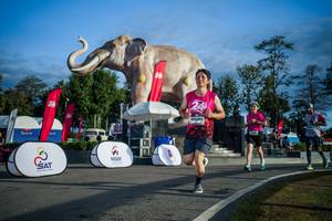 BIB: 
                            <button type="button" onclick="openModal(26541679)" class="btn btn-primary btn-sm float-right btn-popup" data-toggle="modal" data-target=".modal-high-quality">
                        <i class="fas fa-shopping-cart"></i> Add to Cart
                    </button>
                                            <button type="button" onclick="isThisMe(26541679, true)" class="btn btn-success btn-sm float-right btn-popup btn-isme hidden" data-toggle="tooltip" data-placement="bottom" title="นี่คือรูปของคุณใช่ไหม คลิกที่นี่เพื่อเอาเข้าอัลบั้ม">
                        <i class="fas fa-plus"></i> Add to album
                    </button>
                    <button type="button" onclick="isThisMe(26541679, false)" class="btn btn-warning btn-sm float-right btn-popup btn-isnotme hidden">
                        <i class="fas fa-ban"></i> Remove from album
                    </button>